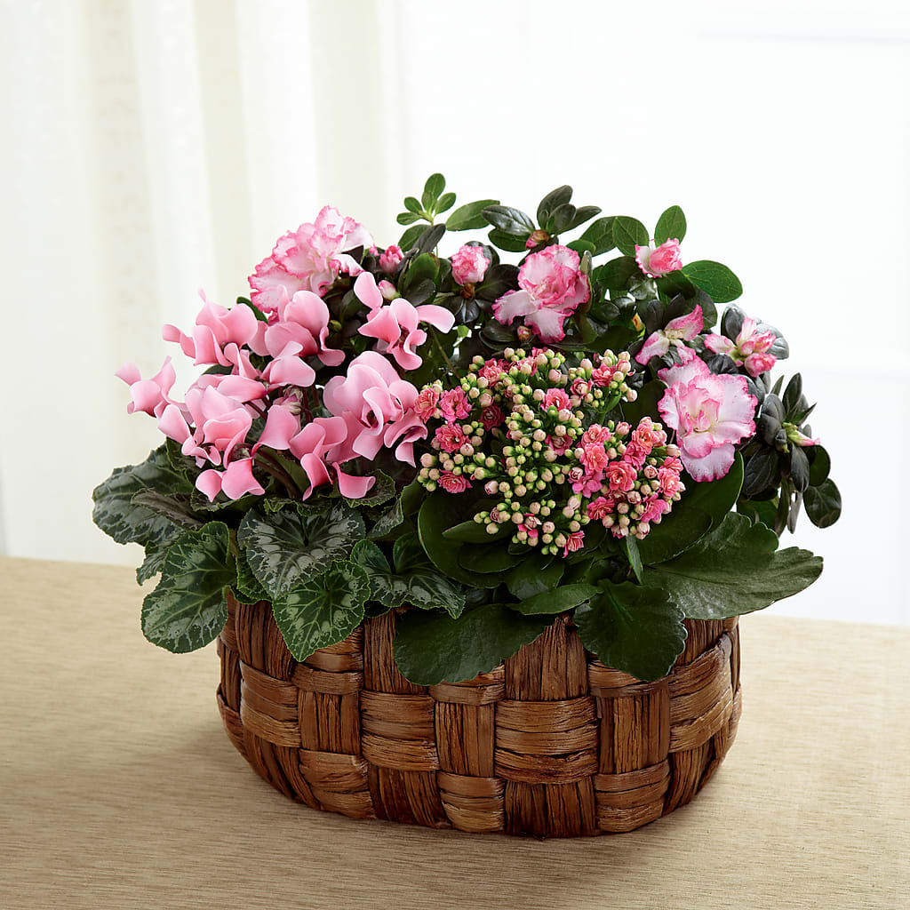 Pink Assortment – Amora Floral Studio, Mooresville NC