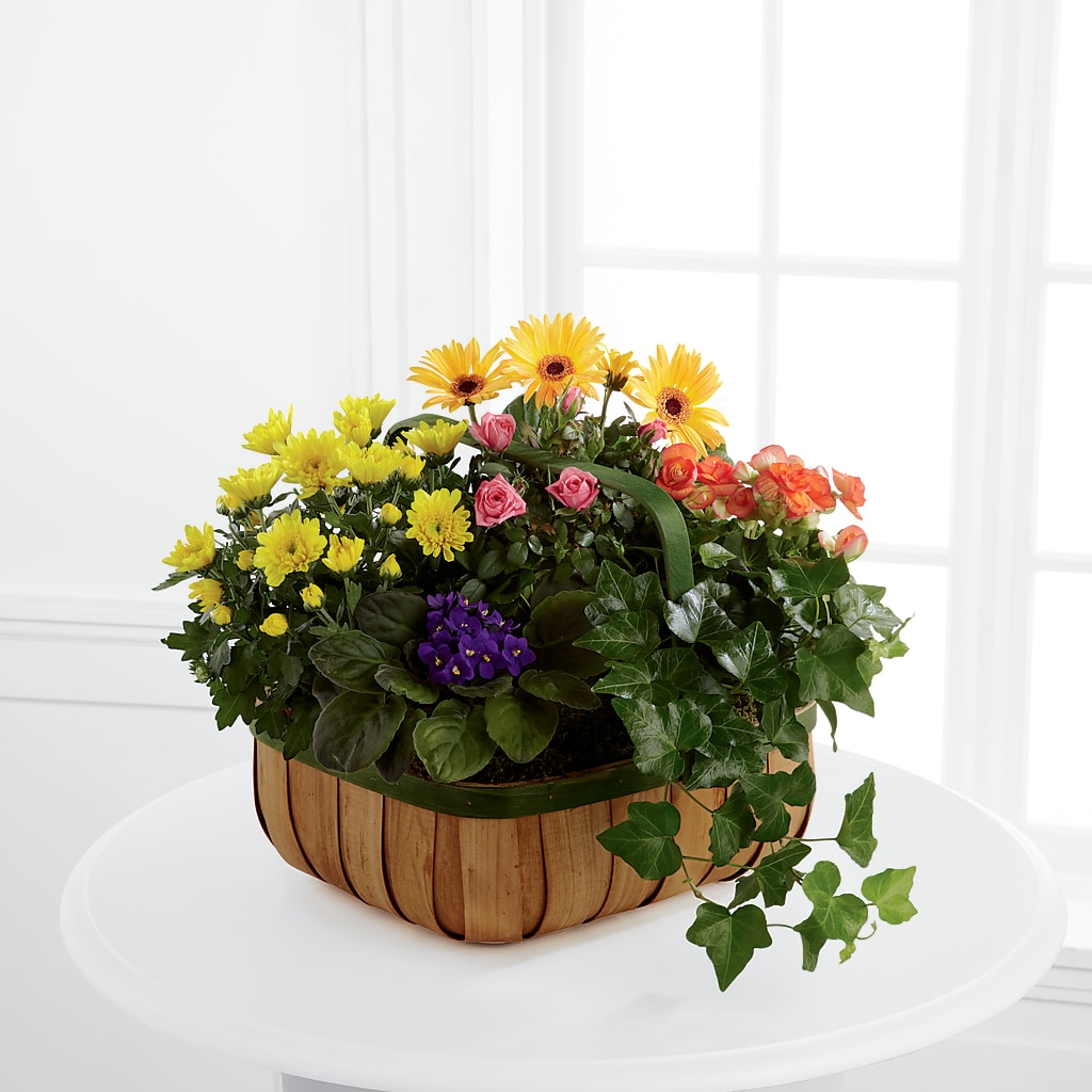 Gentle Blossoms Basket – Amora Floral Studio, Mooresville NC
