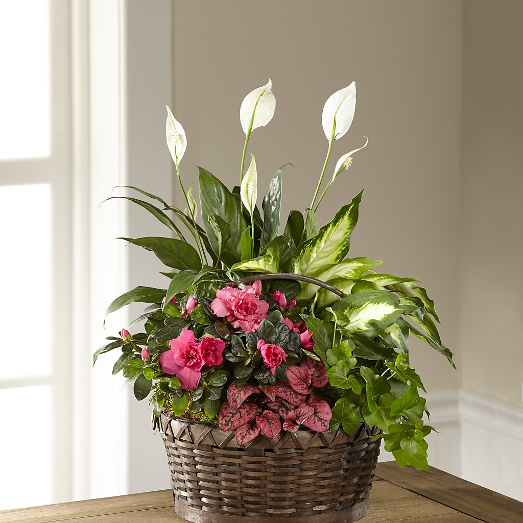 Dream in Pink Dishgarden – Amora Floral Studio, Mooresville NC