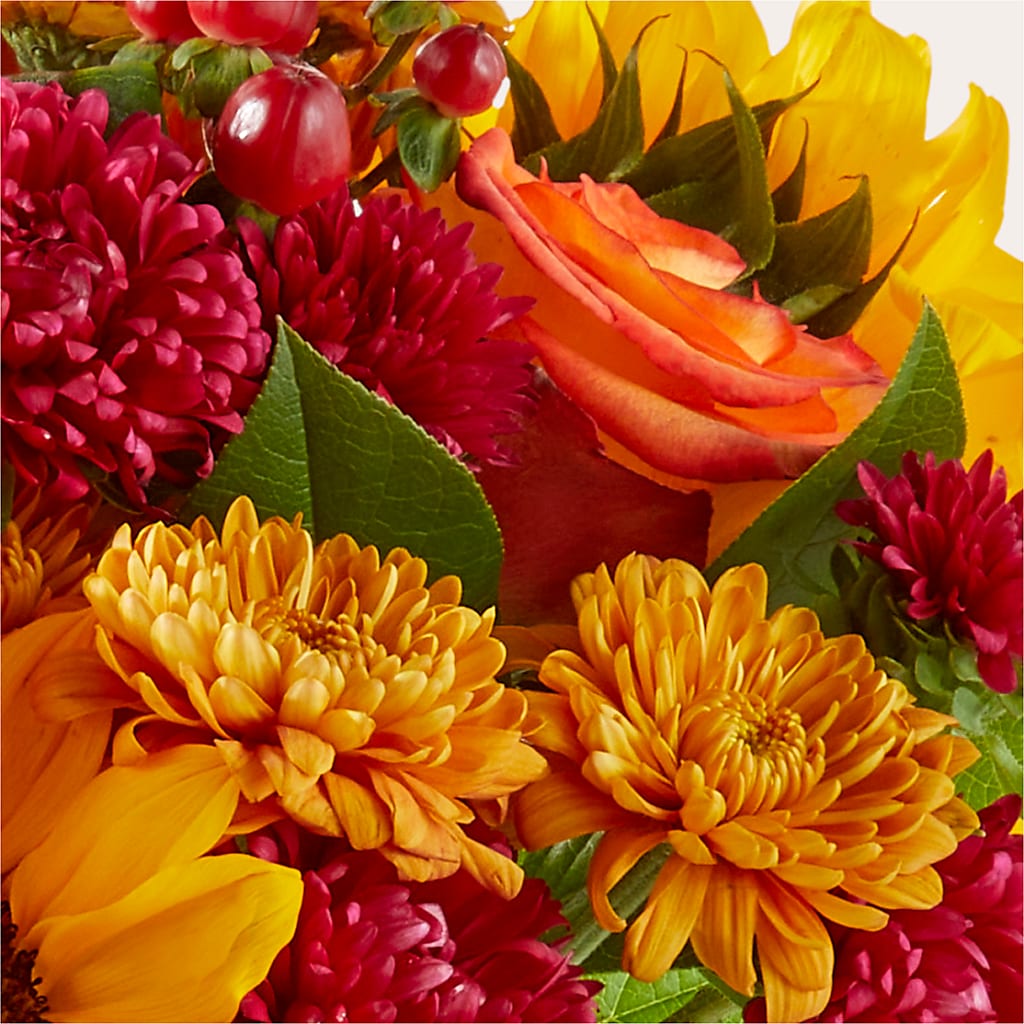Sweater Season - A Florist Original – Amora Floral Studio, Mooresville NC