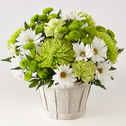 Lucky Charm Basket (Standard) –  Amora Floral Studio, Mooresville NC