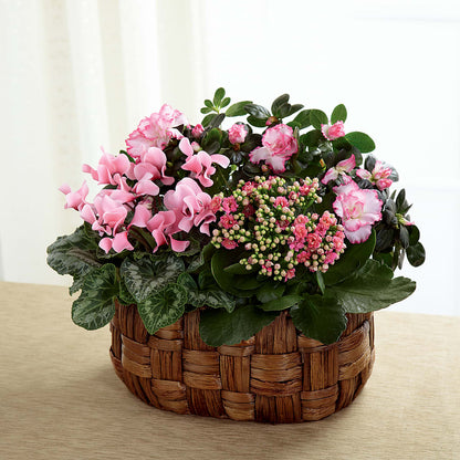 Pink Assortment –  Amora Floral Studio, Mooresville NC