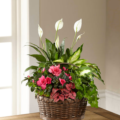 Dream in Pink Dishgarden –  Amora Floral Studio, Mooresville NC