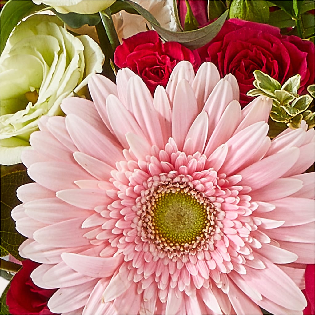 Too Cute Bouquet –  Amora Floral Studio, Mooresville NC