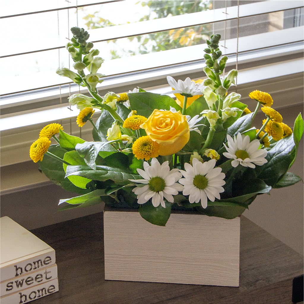 Sun Salutation Box Bouquet –  Amora Floral Studio, Mooresville NC