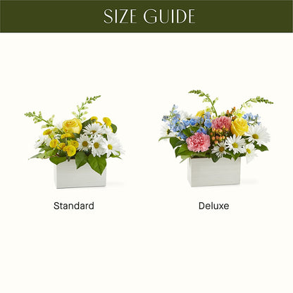 Sun Salutation Box Bouquet –  Amora Floral Studio, Mooresville NC