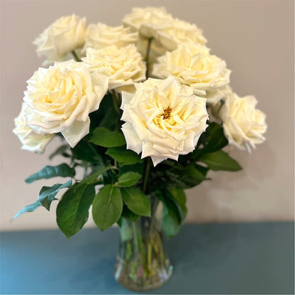 Long Stem Yellow Rose Bouquet –  Amora Floral Studio, Mooresville NC