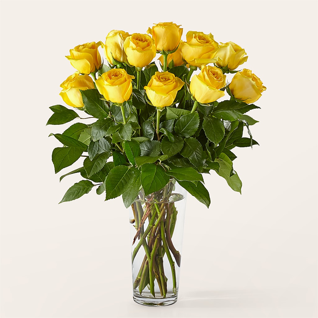 Long Stem Yellow Rose Bouquet –  Amora Floral Studio, Mooresville NC