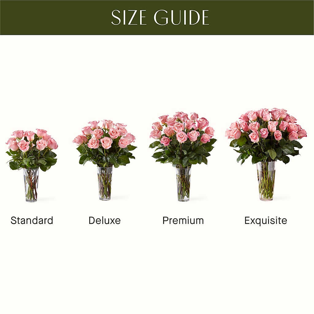 Long Stem Pink Rose Bouquet –  Amora Floral Studio, Mooresville NC