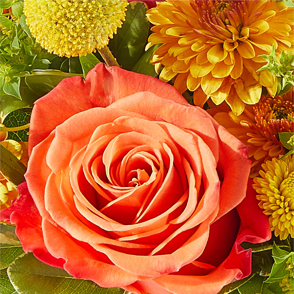 Gourdgeous Pumpkin –  Amora Floral Studio, Mooresville NC