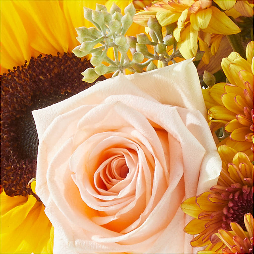 Pumpkin to Talk About Bouquet –  Amora Floral Studio, Mooresville NC