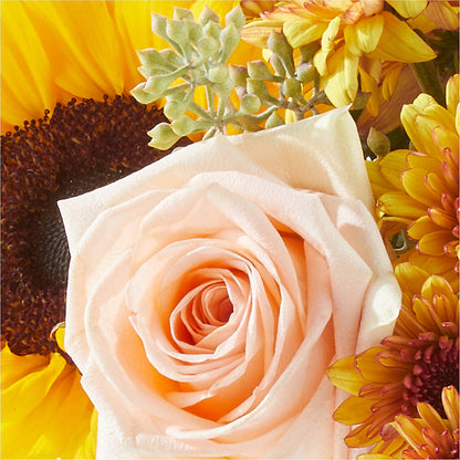 Pumpkin to Talk About Bouquet –  Amora Floral Studio, Mooresville NC