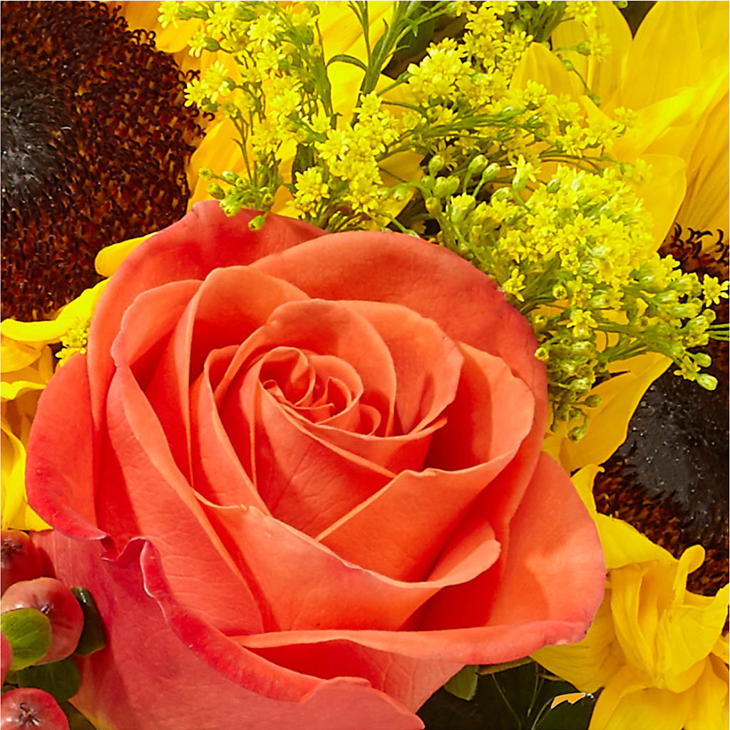 Pick of the Patch Pumpkin Bouquet –  Amora Floral Studio, Mooresville NC
