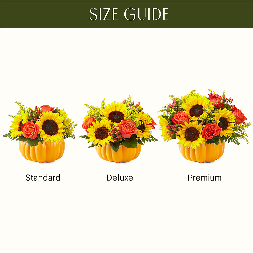 Pick of the Patch Pumpkin Bouquet –  Amora Floral Studio, Mooresville NC