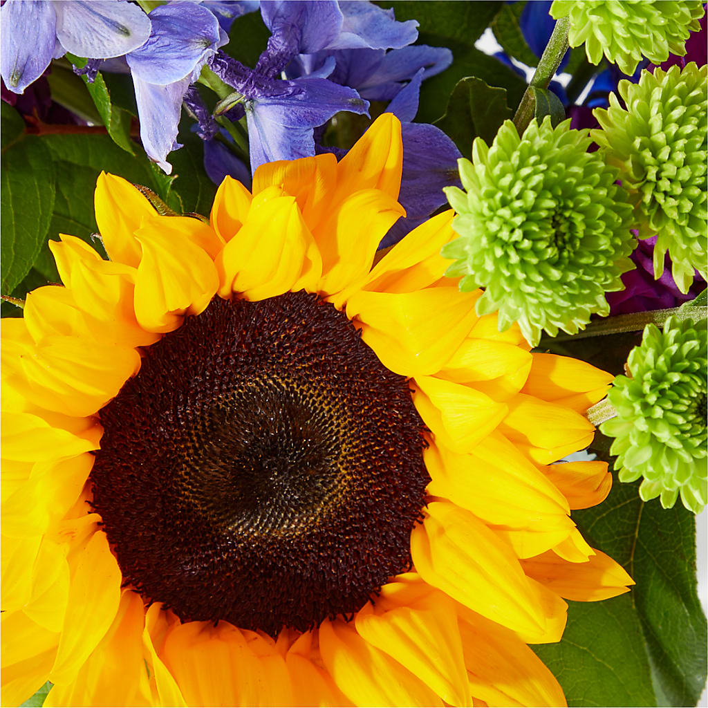 Catching Rays Bouquet –  Amora Floral Studio, Mooresville NC