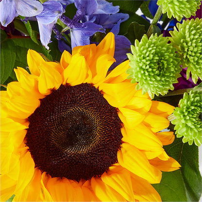 Catching Rays Bouquet –  Amora Floral Studio, Mooresville NC