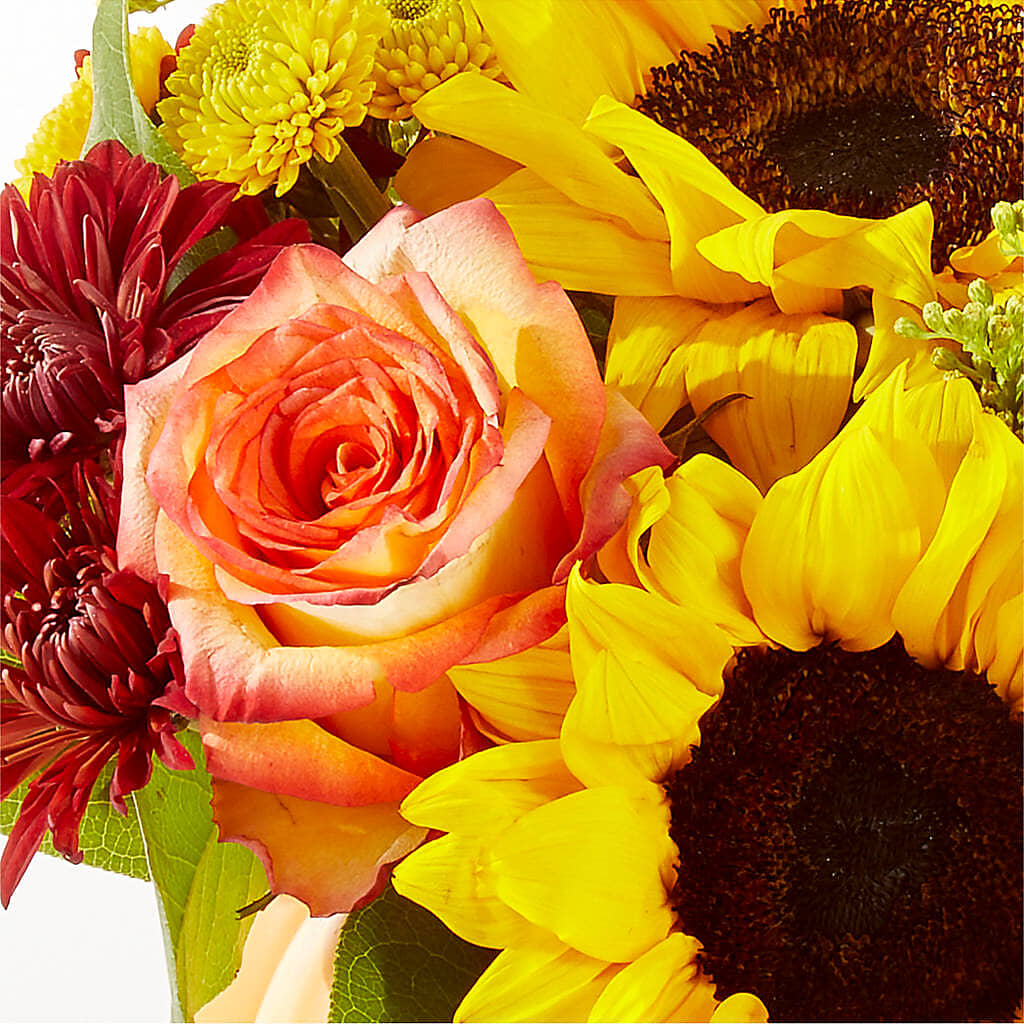 Golden Gourd Pumpkin Bouquet –  Amora Floral Studio, Mooresville NC