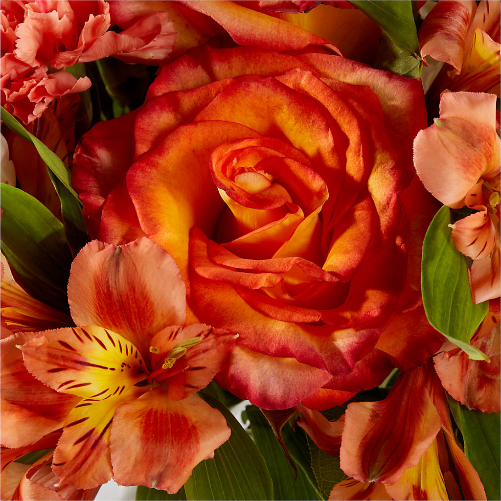 Apricot Glow Bouquet –  Amora Floral Studio, Mooresville NC