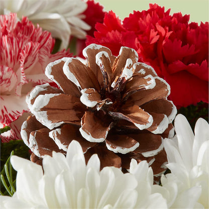 Candy Cane Lane Bouquet –  Amora Floral Studio, Mooresville NC