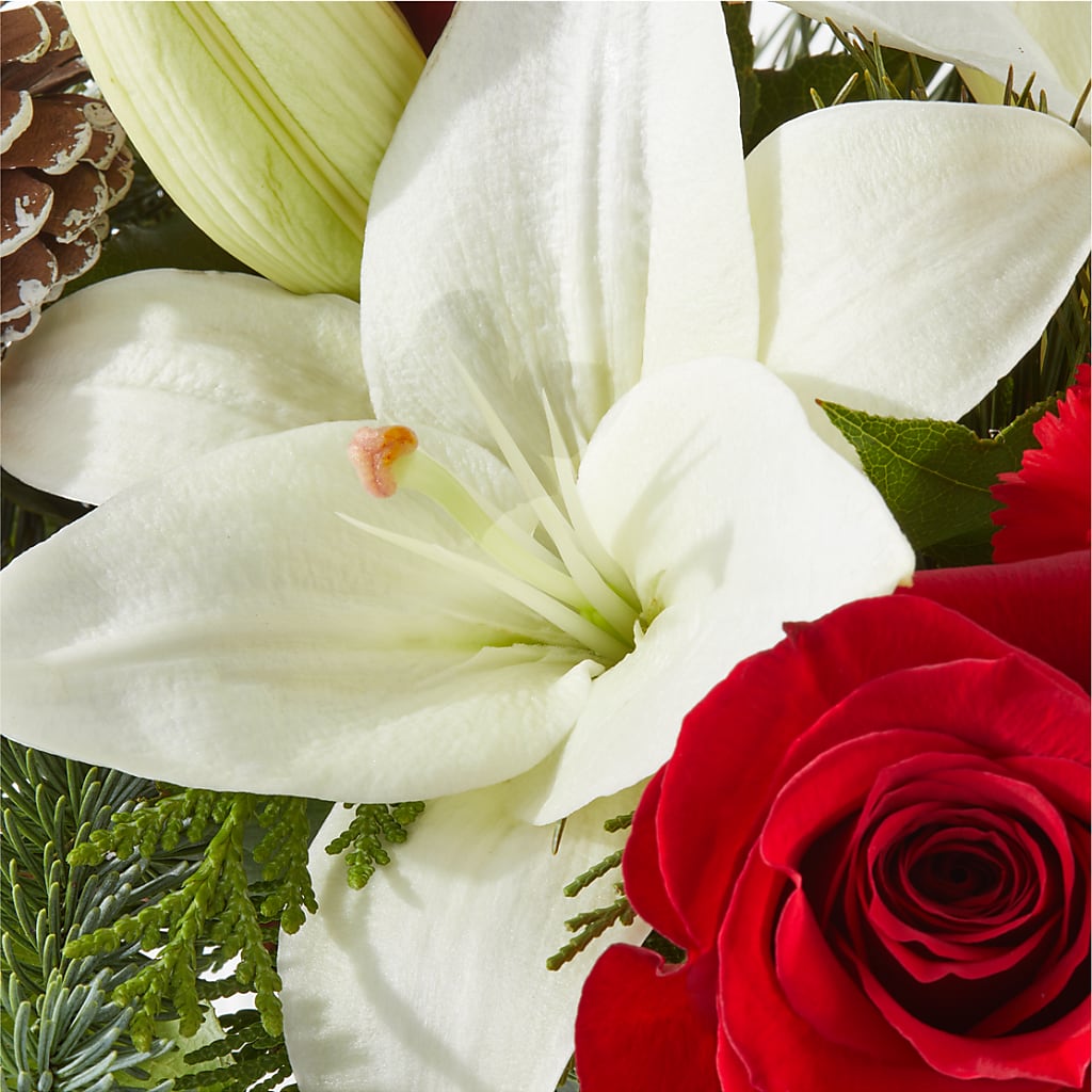 Oh So Jolly Bouquet –  Amora Floral Studio, Mooresville NC