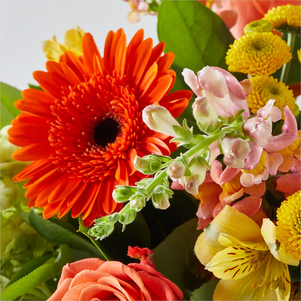 Autumn Sunshine Bouquet –  Amora Floral Studio, Mooresville NC