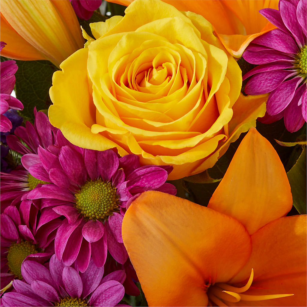 Colorful Visions Bouquet –  Amora Floral Studio, Mooresville NC