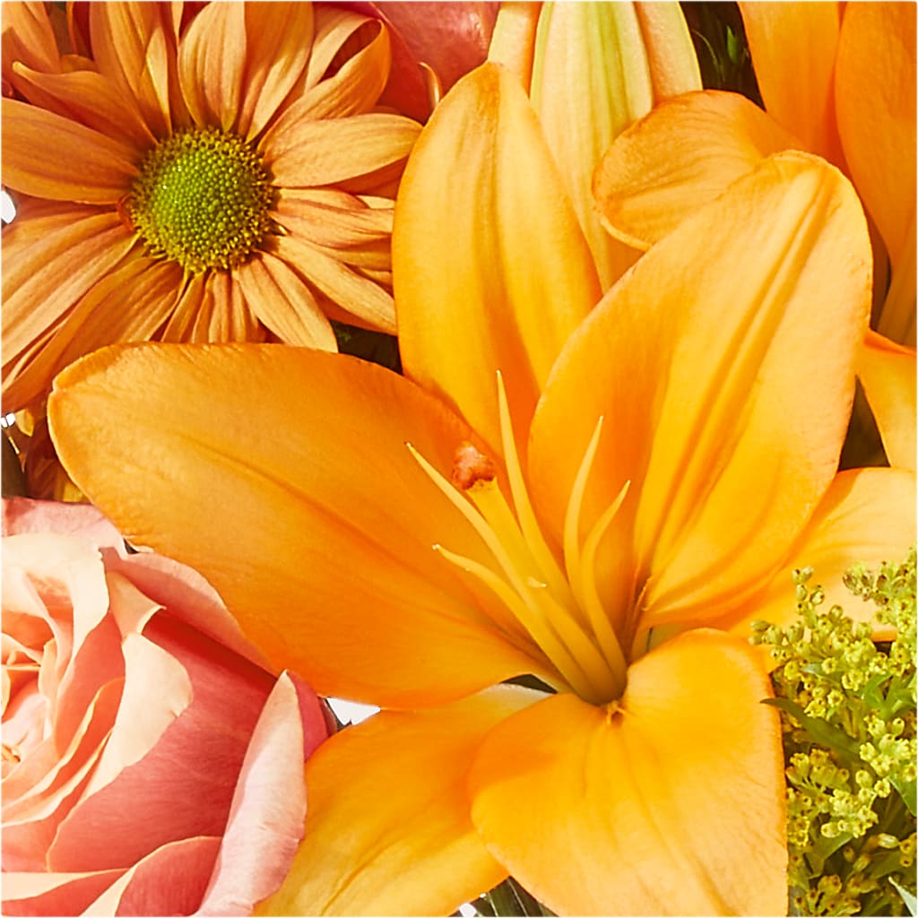 Harvest Hayride Bouquet –  Amora Floral Studio, Mooresville NC