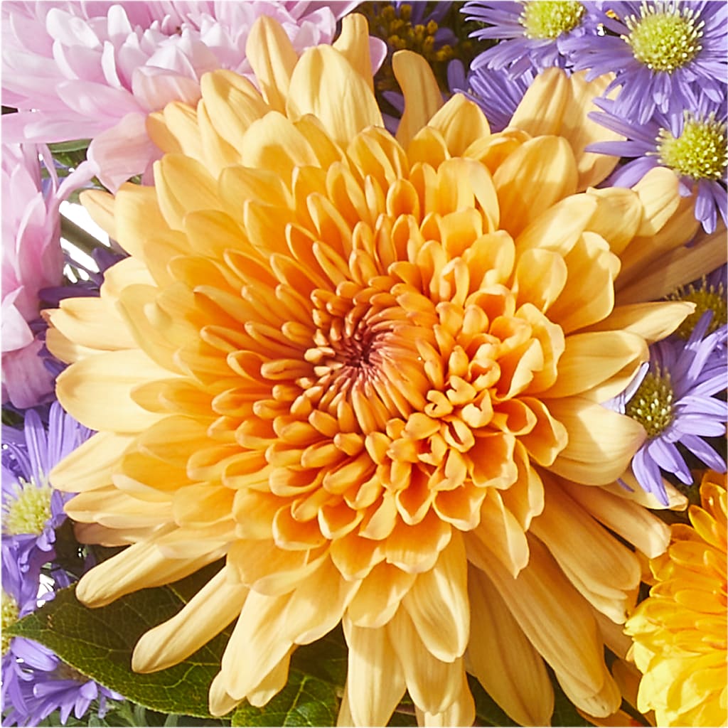Countryside Bouquet –  Amora Floral Studio, Mooresville NC