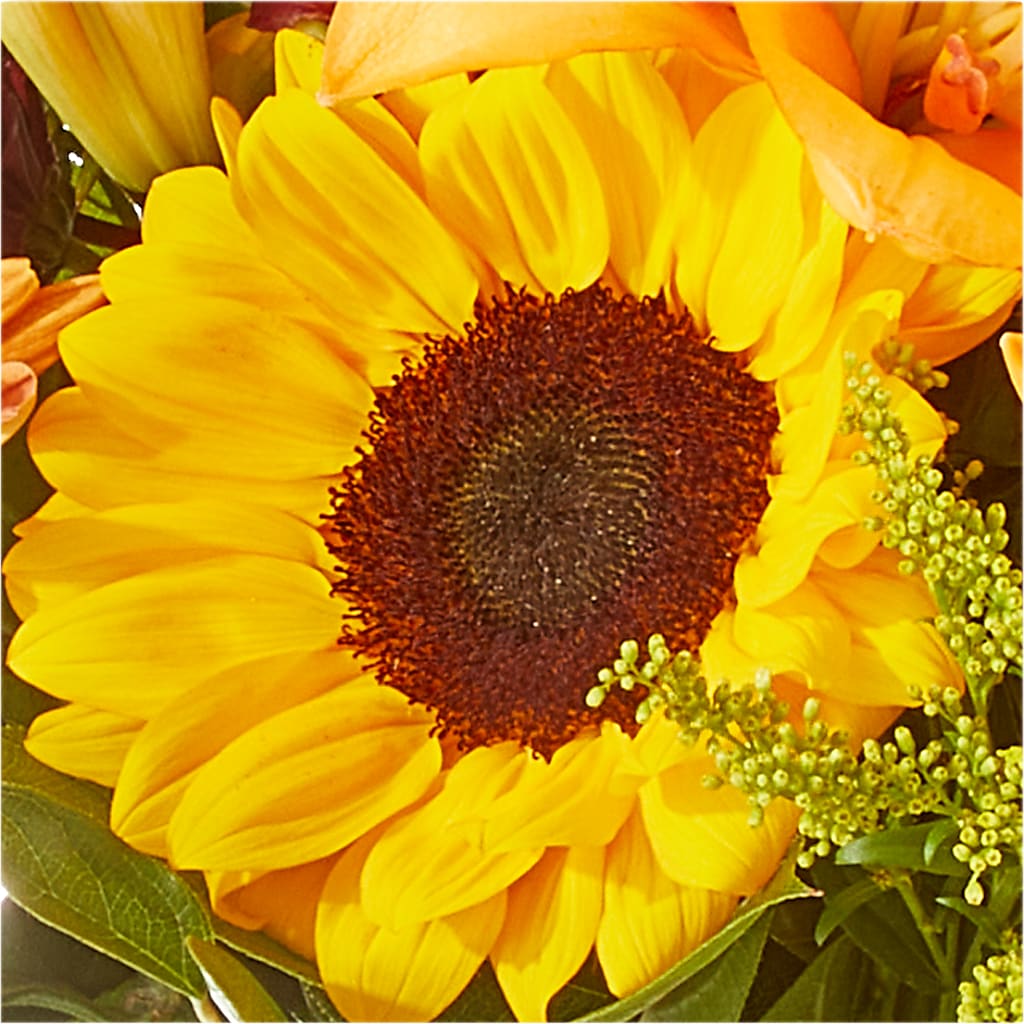 Seasons Change Bouquet –  Amora Floral Studio, Mooresville NC