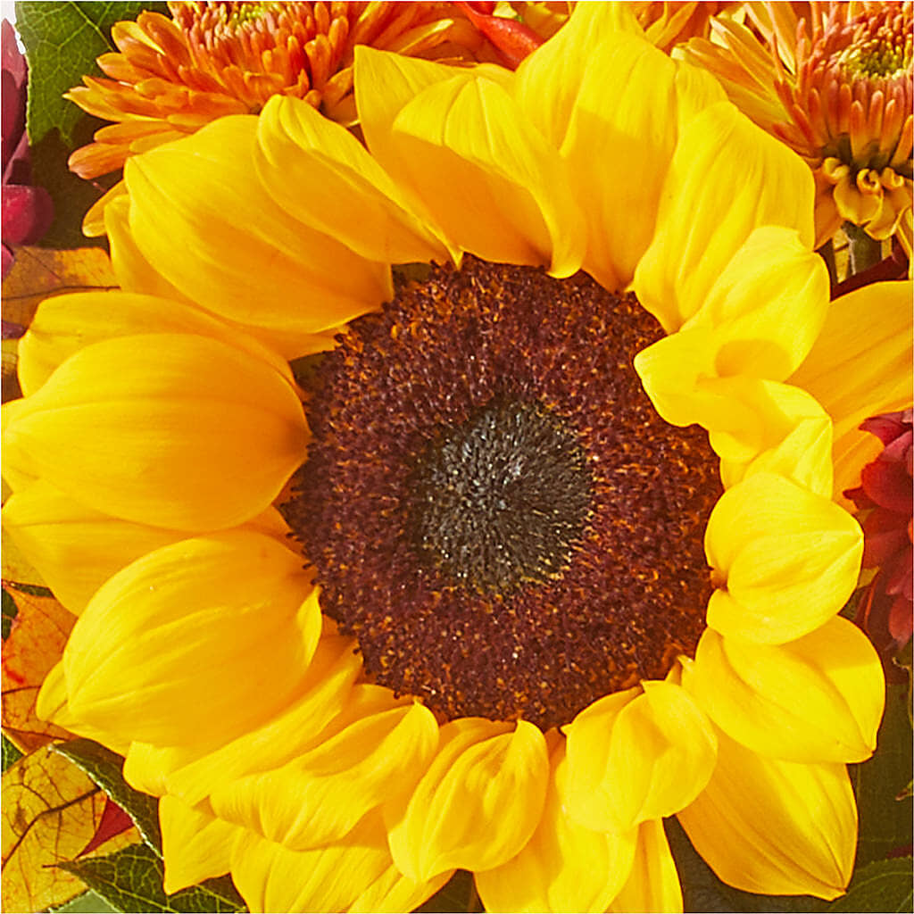 Sunny Side Bouquet –  Amora Floral Studio, Mooresville NC