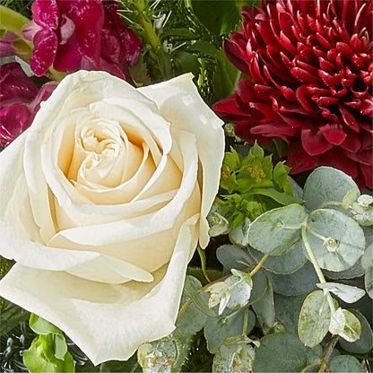 Cranberry Fizz Bouquet –  Amora Floral Studio, Mooresville NC