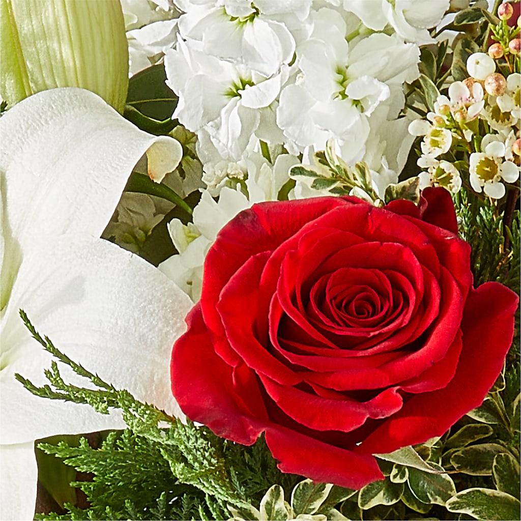 Twinkle Lights Bouquet –  Amora Floral Studio, Mooresville NC