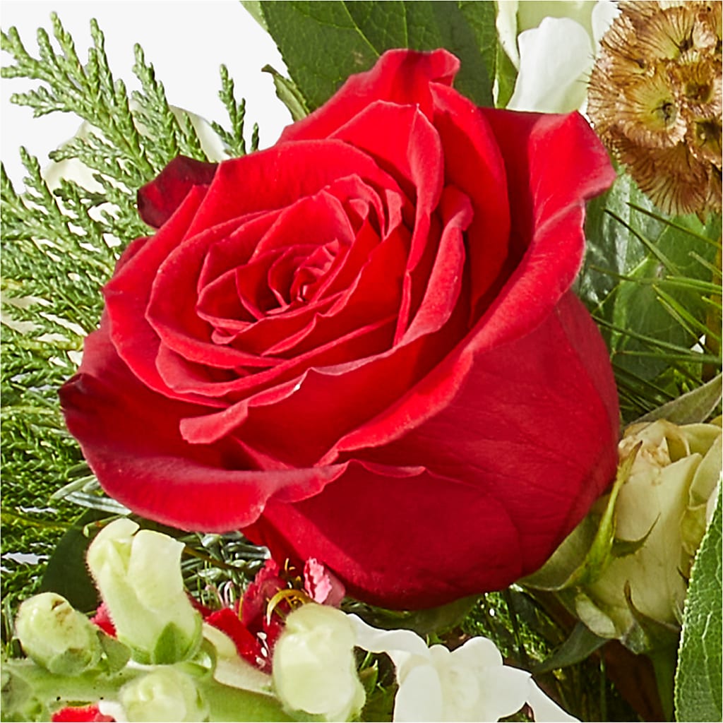 Deck the Halls Bouquet –  Amora Floral Studio, Mooresville NC