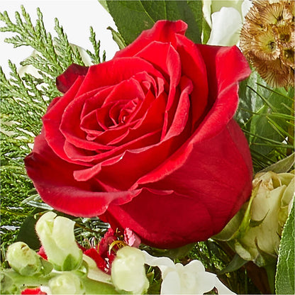 Deck the Halls Bouquet –  Amora Floral Studio, Mooresville NC