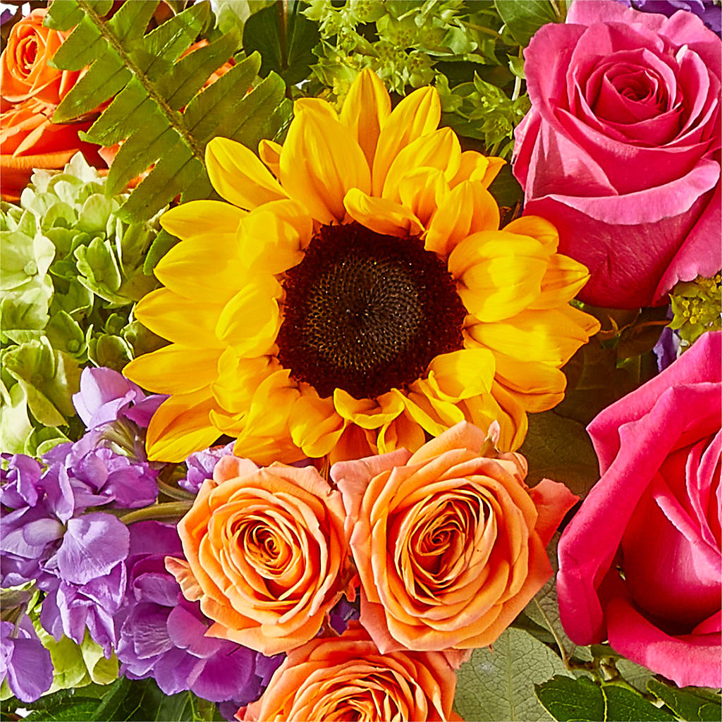 Vibrant Greetings Bouquet –  Amora Floral Studio, Mooresville NC