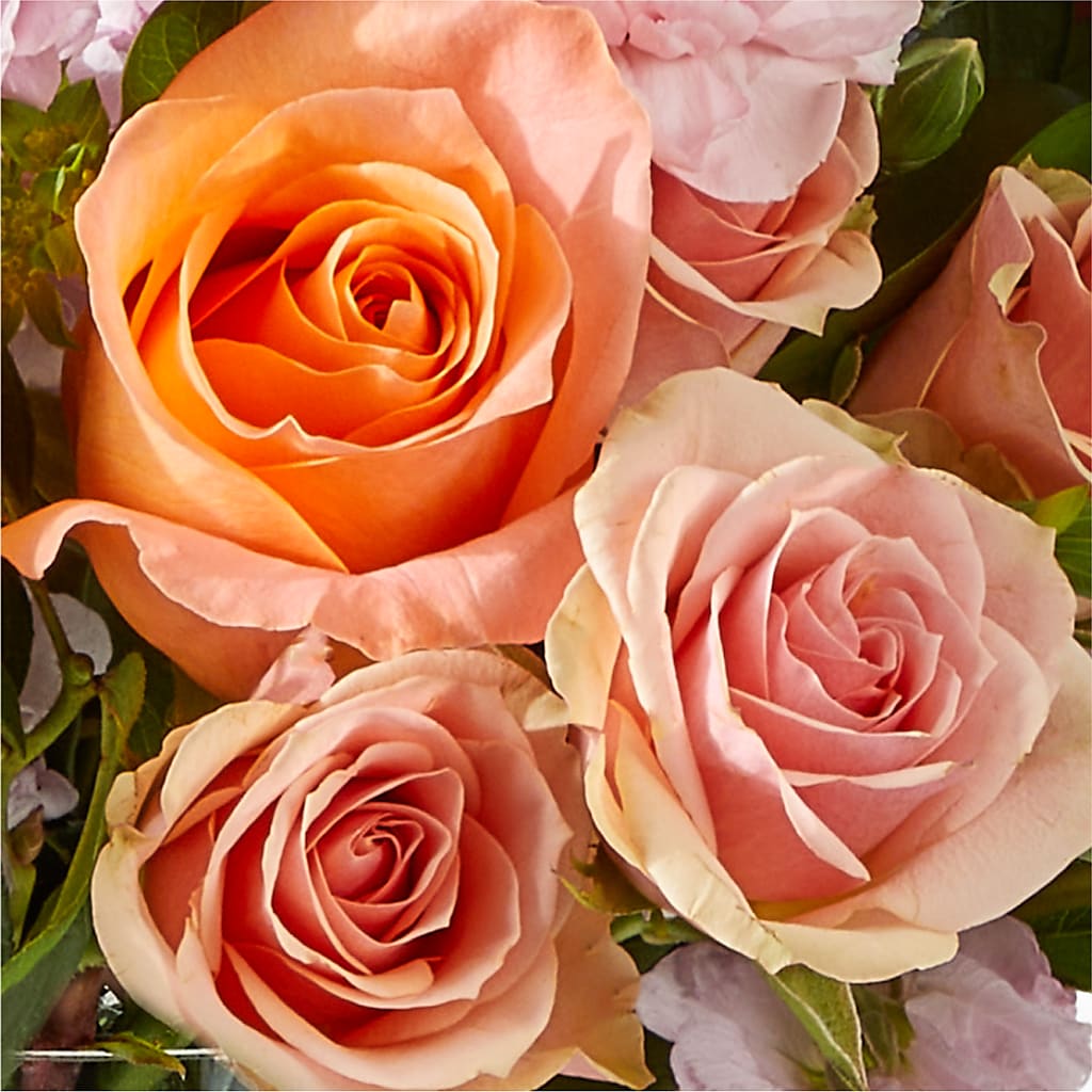 French Market Bouquet –  Amora Floral Studio, Mooresville NC