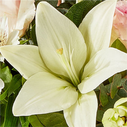 Ballet Slippers Bouquet –  Amora Floral Studio, Mooresville NC