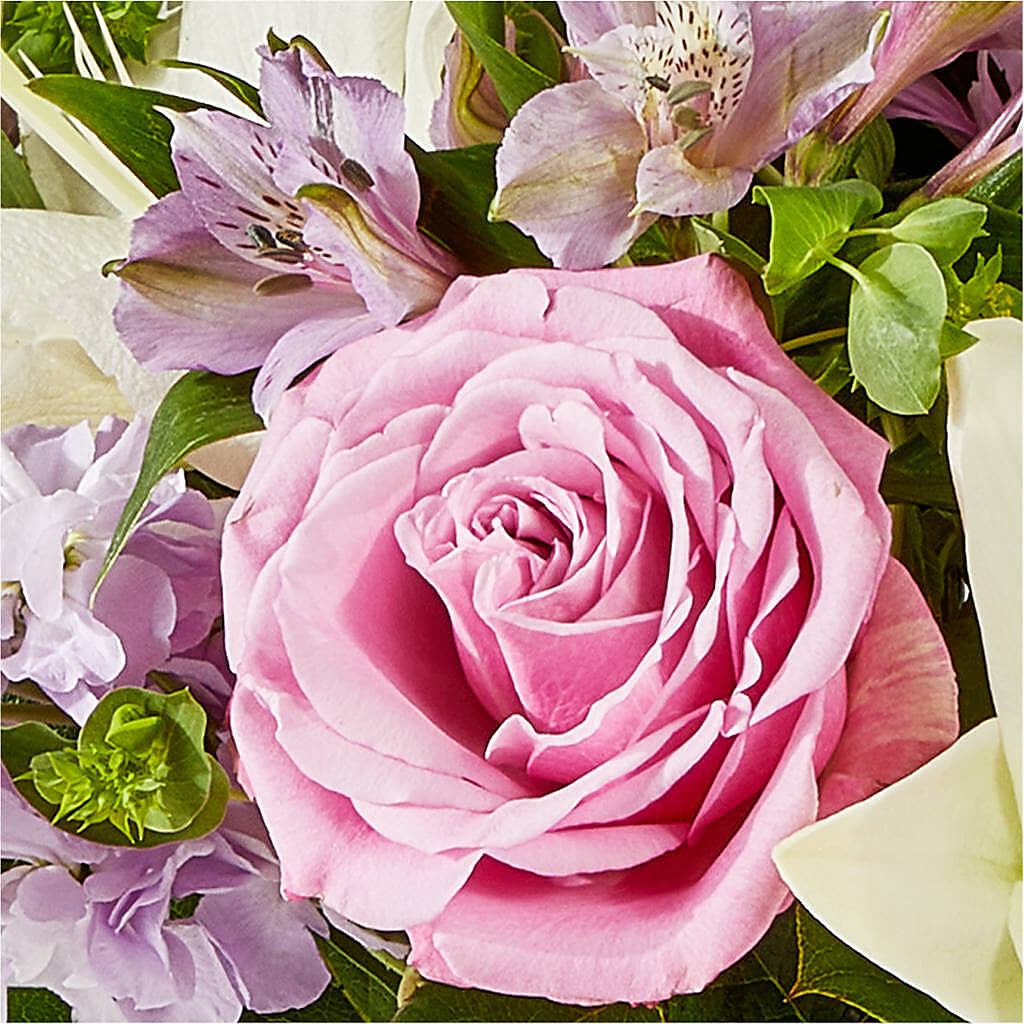Daydreamer Bouquet –  Amora Floral Studio, Mooresville NC