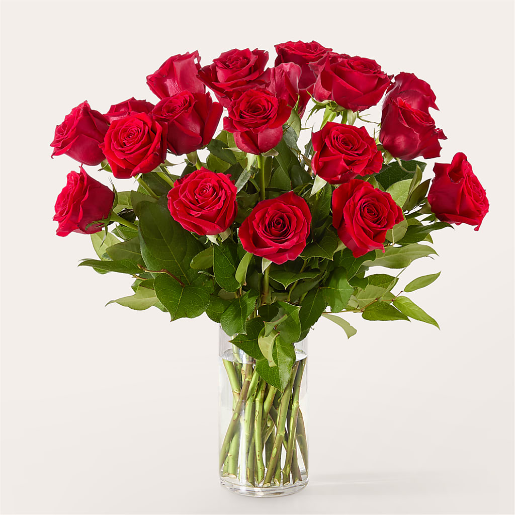 The One Red Rose Bouquet –  Amora Floral Studio, Mooresville NC