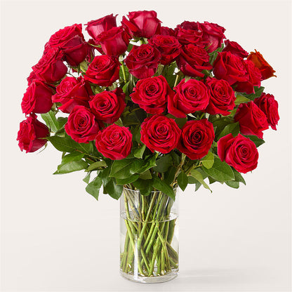 The One Red Rose Bouquet –  Amora Floral Studio, Mooresville NC