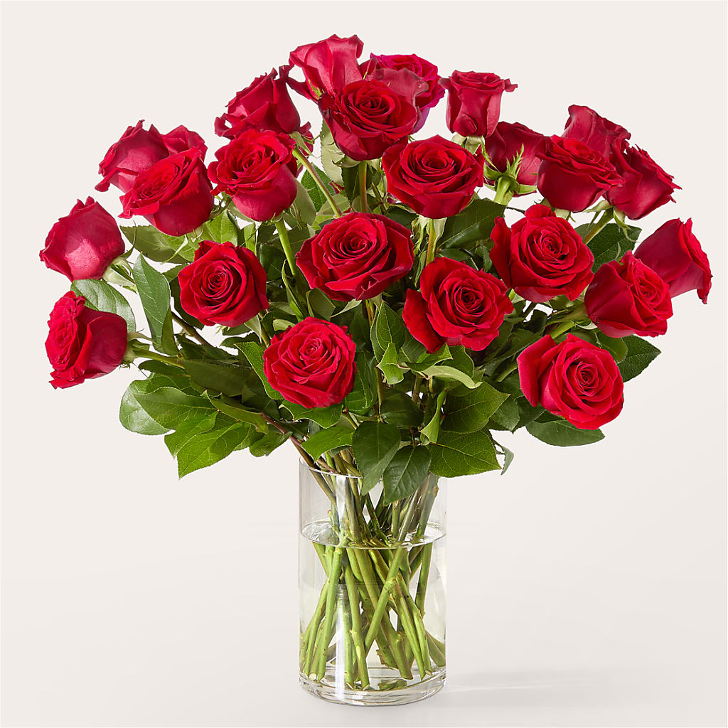 The One Red Rose Bouquet –  Amora Floral Studio, Mooresville NC